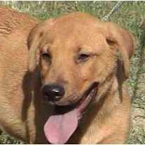 Thumbnail photo of TG-Clifford #1