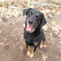 Thumbnail photo of Ramsey #1