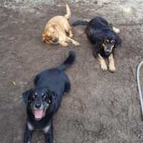 Thumbnail photo of Ramsey #2