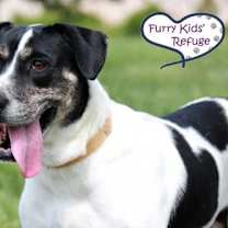 Thumbnail photo of Carmen #2