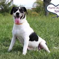 Thumbnail photo of Carmen #3