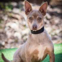 Thumbnail photo of Mac #4