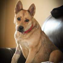 Thumbnail photo of Laverne #1