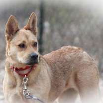 Thumbnail photo of Laverne #2