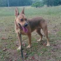 Thumbnail photo of Laverne #3