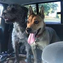 Thumbnail photo of Laverne #4