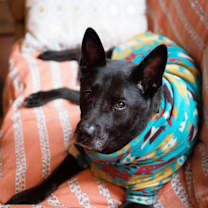 Thumbnail photo of Dorothy #3