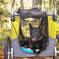 Thumbnail photo of Dorothy #1