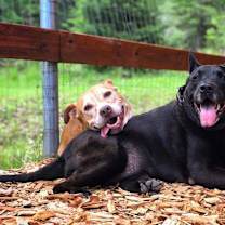 Thumbnail photo of Dorothy #2