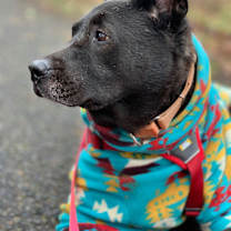 Thumbnail photo of Dorothy #4