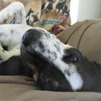 Thumbnail photo of Oakley #3