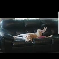 Thumbnail photo of Benji #3