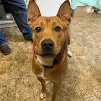 Thumbnail photo of 19-365 Henesey #1