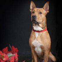 Thumbnail photo of 19-365 Henesey #2