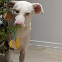 Thumbnail photo of Monet #1