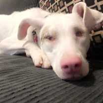 Thumbnail photo of Monet #2