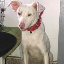 Thumbnail photo of Monet #3