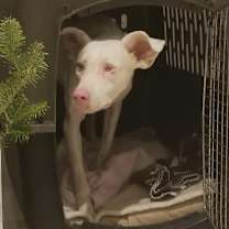 Thumbnail photo of Monet #4