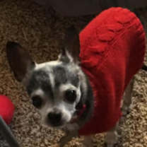 Thumbnail photo of Ryler #3