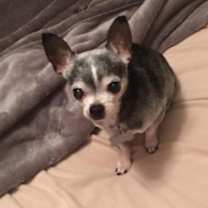 Thumbnail photo of Ryler #4