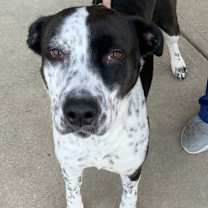 Thumbnail photo of Sasha ~COURTESY POST~ #1