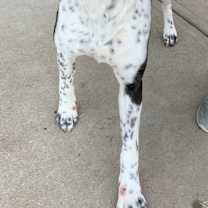 Thumbnail photo of Sasha ~COURTESY POST~ #2