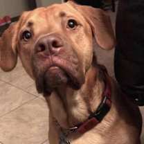 Thumbnail photo of Jonesy D3122 #1