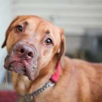 Thumbnail photo of Jonesy D3122 #2