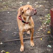 Thumbnail photo of Jonesy D3122 #3