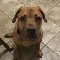 Thumbnail photo of Jonesy D3122 #4