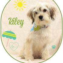 Thumbnail photo of Riley #1