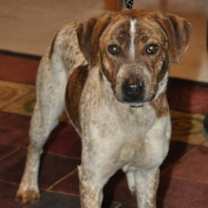 Thumbnail photo of CiCi #1