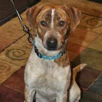 Thumbnail photo of CiCi #2