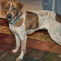 Thumbnail photo of CiCi #3