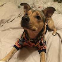 Thumbnail photo of Clover #1