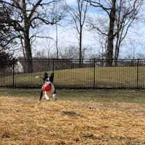 Thumbnail photo of Sasha ~COURTESY POST~ #4