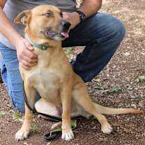 Thumbnail photo of Lazarus #2