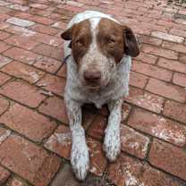 Thumbnail photo of Lucky #3