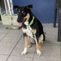 Thumbnail photo of Catalina #2