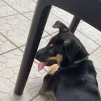 Thumbnail photo of Catalina #3