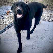 Thumbnail photo of Jasper #3