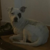 Thumbnail photo of Target #1