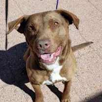 Thumbnail photo of Zuby #1