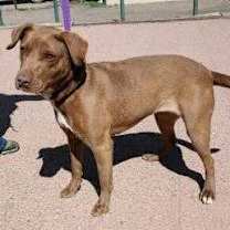 Thumbnail photo of Zuby #2