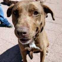 Thumbnail photo of Zuby #3