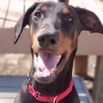 Thumbnail photo of Sheila #1