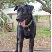 Thumbnail photo of Snicks #4