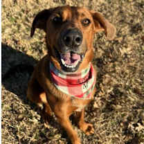 Thumbnail photo of Danny #4