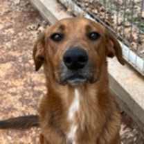 Thumbnail photo of Danny #1