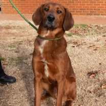 Thumbnail photo of Danny #2